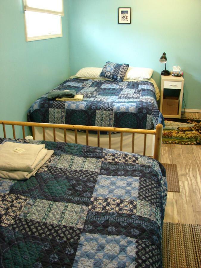 怀特霍斯Wild North Bed & Rest住宿加早餐旅馆 外观 照片
